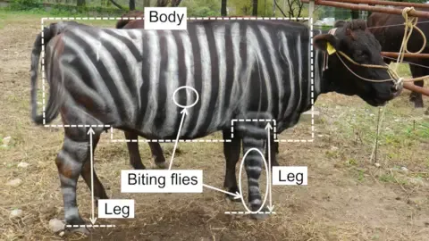 Black-and-White Bovines and Non-Stick Cuisine Win Lighthearted Academic Prizes